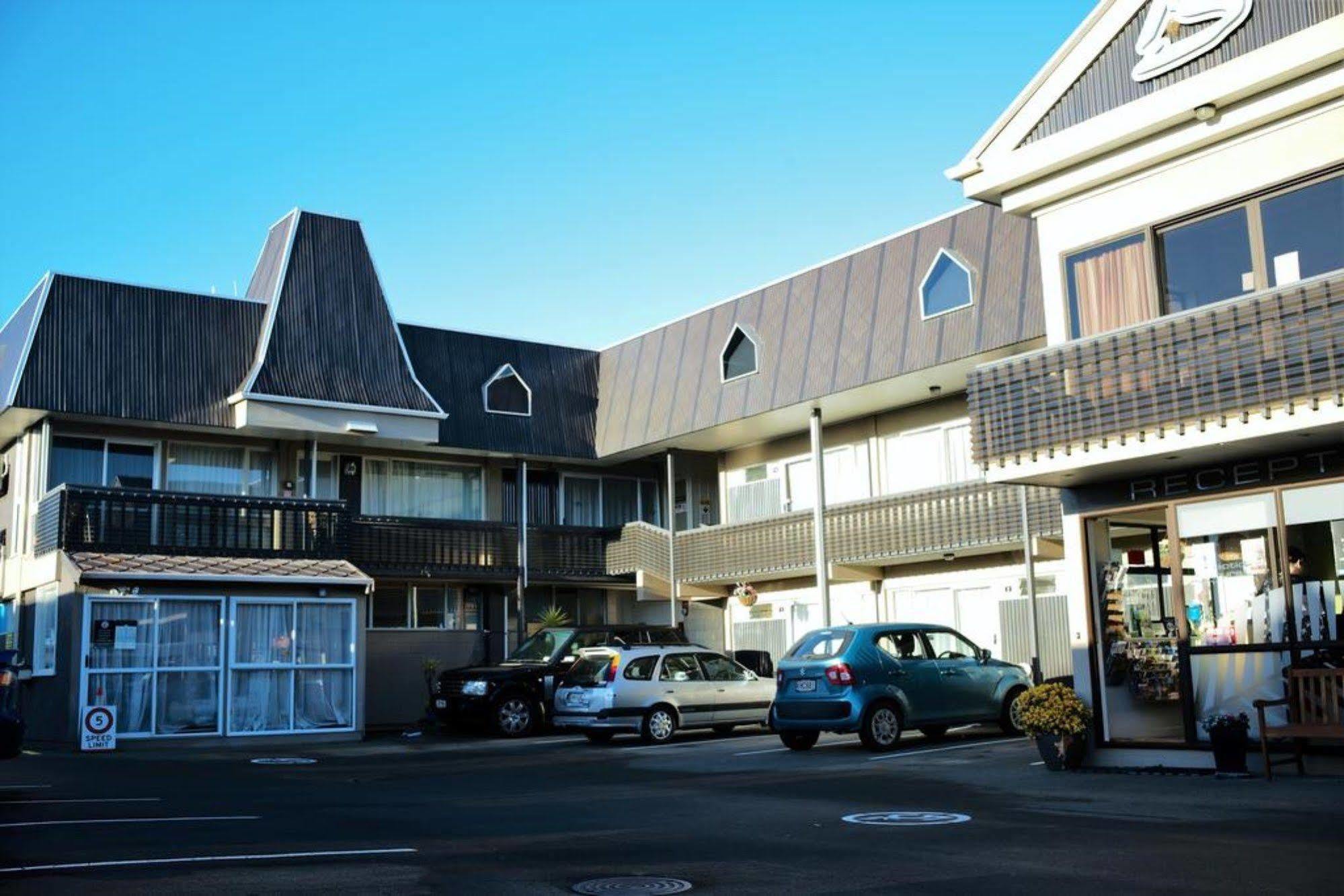 Kiwi Palmerston North